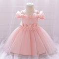 Robes d'anniversaire pour bébé fille en dentelle brodée, robe de princesse formelle moelleuse pour tout-petits
